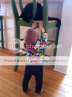 Photobucket Pictures, Images and Photos