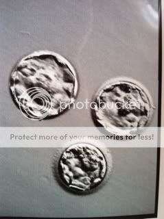 Photobucket Pictures, Images and Photos