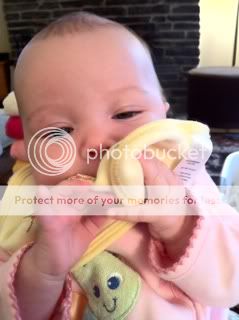Photobucket Pictures, Images and Photos