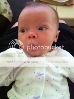 Photobucket Pictures, Images and Photos