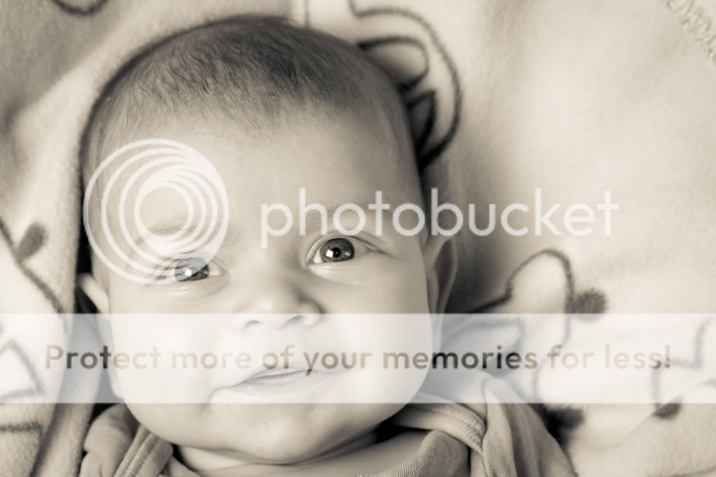 IMAGE: http://i1040.photobucket.com/albums/b404/penelgundogs/IMG_3418.jpg