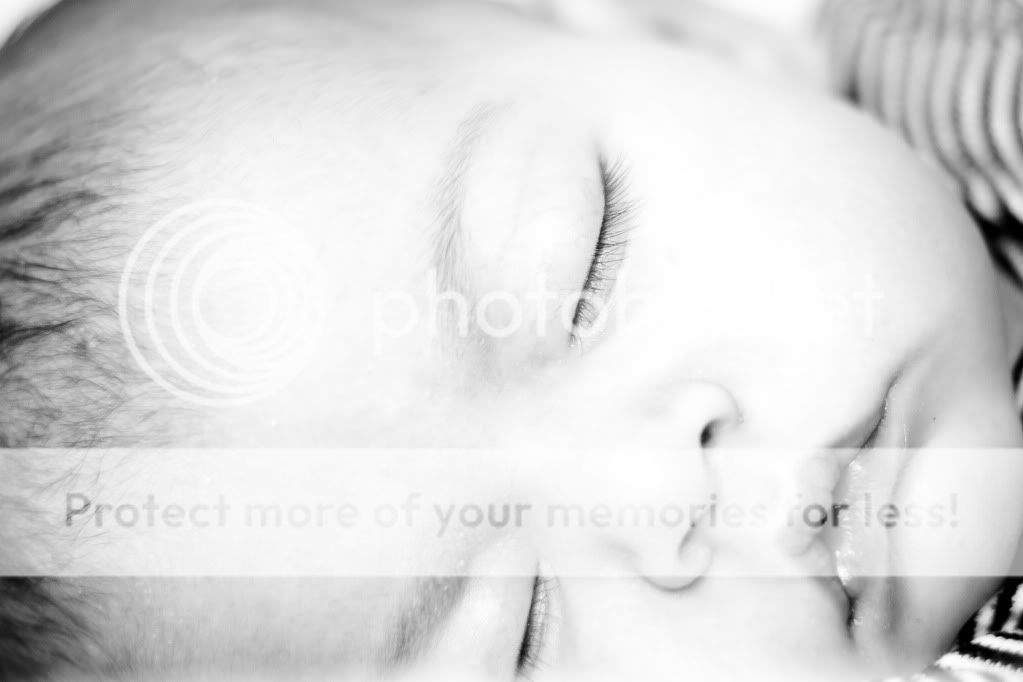 IMAGE: http://i1040.photobucket.com/albums/b404/penelgundogs/IMG_3479-3.jpg