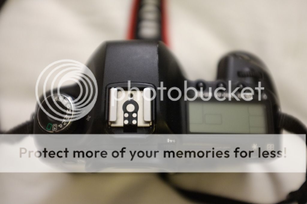 IMAGE: http://i1040.photobucket.com/albums/b404/robsesphoto/DSCF2422_zpsdcxgbils.jpg