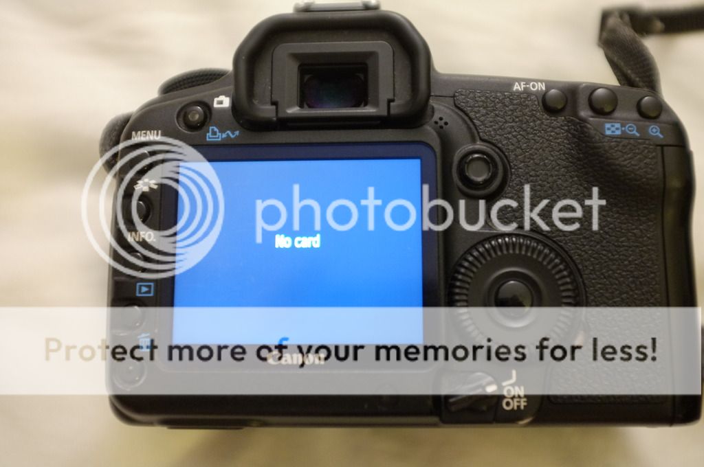 IMAGE: http://i1040.photobucket.com/albums/b404/robsesphoto/DSCF2430_zpsfoymuawe.jpg