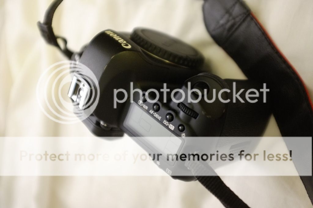 IMAGE: http://i1040.photobucket.com/albums/b404/robsesphoto/DSCF2431_zpskr7jrq7t.jpg