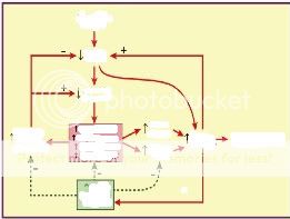 chf pathophysiology