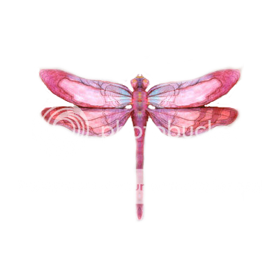 dragon-fly-transparent_full.png Photo by CunnyWet | Photobucket