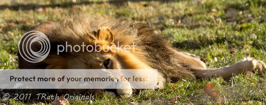 IMAGE: http://i1040.photobucket.com/albums/b407/TRath/Crossposting/IMG_0024.jpg