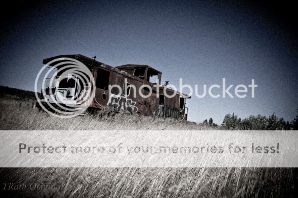 IMAGE: http://i1040.photobucket.com/albums/b407/TRath/Personal%20Favorites/IMG_2095.jpg