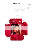 photo DiorRobGiftBox3Top.jpg