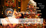 photo UndertheTree2.png