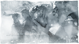 photo diorrob_winter-wallpaper1-1368x768.png